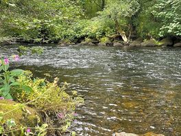 Riverside view