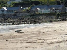 At dhoon bay. two mins from site
