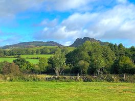 Brilliant views