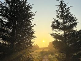 Sunup