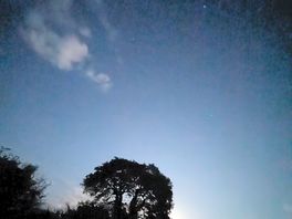 Lovely view