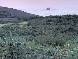View from the top of site