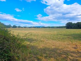 Field