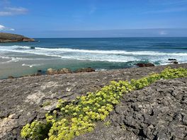 Lovely beach