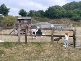 Animals you can feed which my daughter loved!