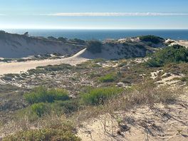 Rolling sand dunes