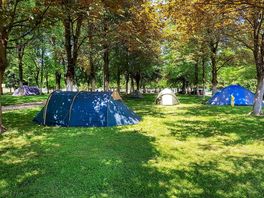 Big site has space for everyone