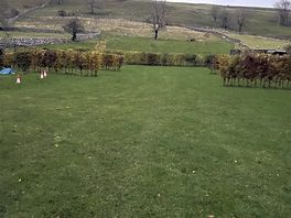 View from our campervan