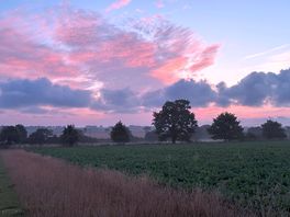 Early morning view.