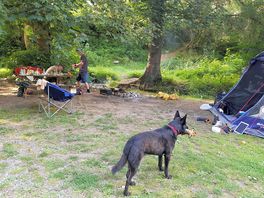 Camp