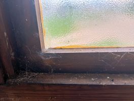 Windows inside the toilets