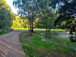 Walking loop around the site
