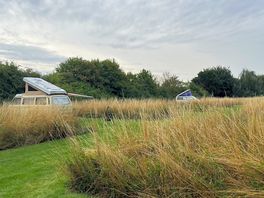 Campervan field