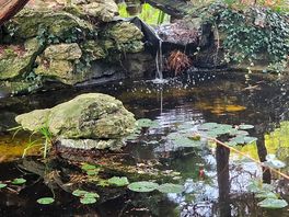 Lovely and peaceful