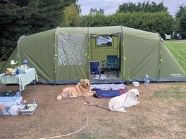 Happy camping doggies!
