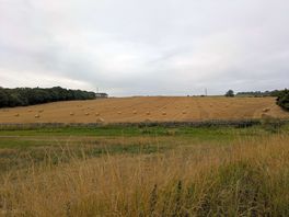 On a walk from the site