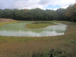New lake