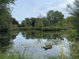 Trout lake