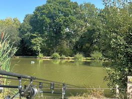 Kingfisher lake
