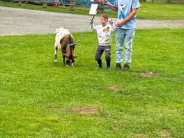 My little boy walking the goats with his dad