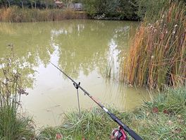Peaceful and relaxing by the lake.