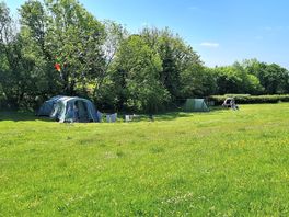 Pitched in the shade of the trees
