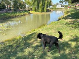 Site lake