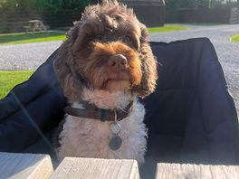 Winnie enjoying her peaceful stay