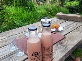 Milkshakes from local farm vending machine!