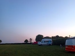 Moonshine on the paddock