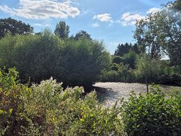 Pond