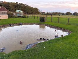 Lovely duck pond in the garden