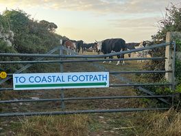 Amazing to hear the farm animals in the mornings
