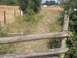 Gorgeous walks