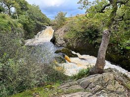 Nearby waterfall