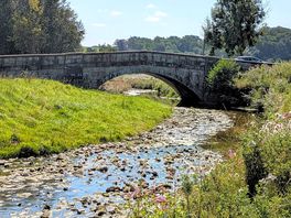 Bridge in village