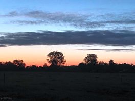 Sunset over the field