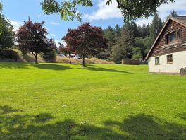 The park
