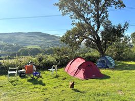 View from the site.
