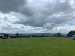The view