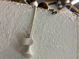 Cobwebs and a resident snail
