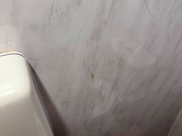 ‘poo smear’