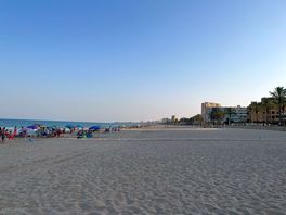 Local beach