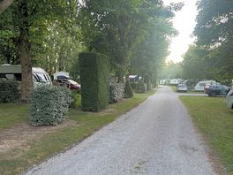 Manicured hedges.