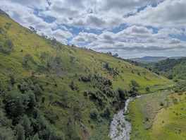 A local walk