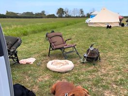 Grass area to the side allowed us to take the dogs for the toilet and short walk.