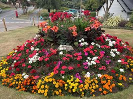 Flowers by reception.