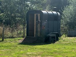 The sauna