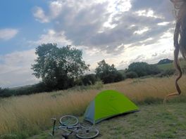 Wild site view