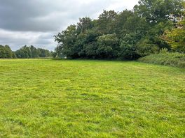 The tedding field